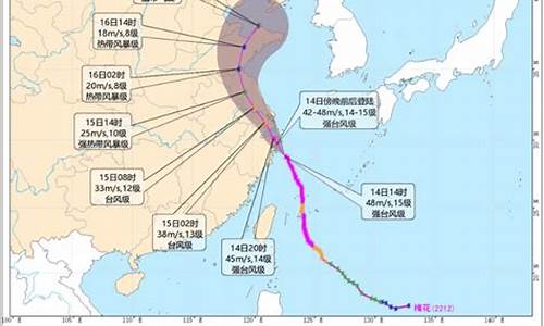 浙江省水利厅台风路径_浙江省水利厅台风路径一