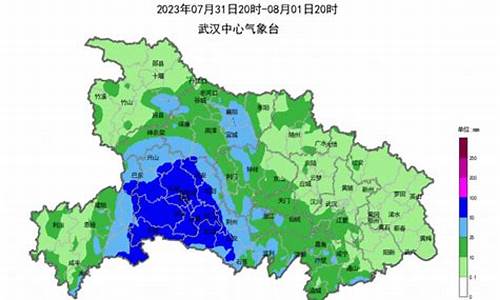 武汉8月天气30天查询_武汉8月天气114