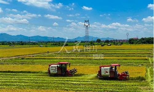 江西樟树天气_江西樟树天气预报30天查询结果