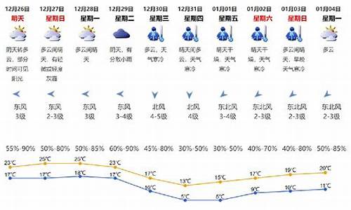 深圳未来一周天气预报15天详情最新_深f圳未来一周天气