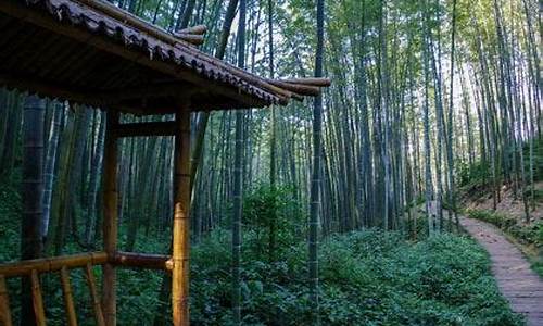 蜀南竹海天气预报三天_蜀南竹海天气预报