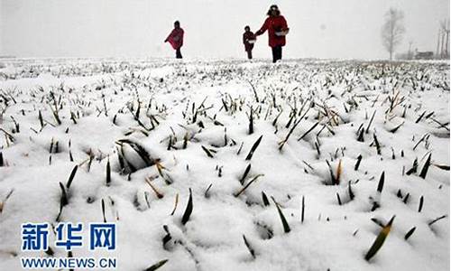 温县天气30天天气预报_温县天气预报60天