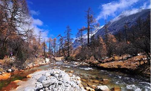 毕棚沟风景区天气预报一周7天查询_毕棚沟风景区天气